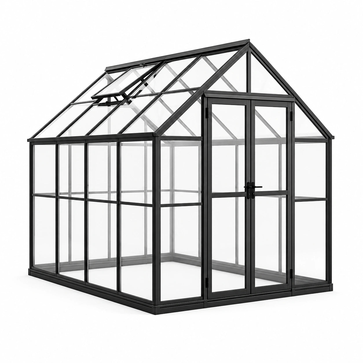 Serre de jardin en aluminium noir et polycarbonate transparent, 250 × 190 × 195 cm, double porte et fenêtres de toit